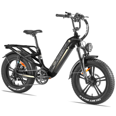 affordable-electric-bike-750W-48V-dual-suspension-A320
