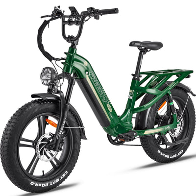 Electric-bicycles-for-adults-dual-suspension-750W-48V-20AH-A320
